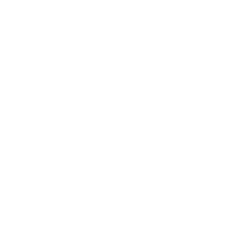 1X