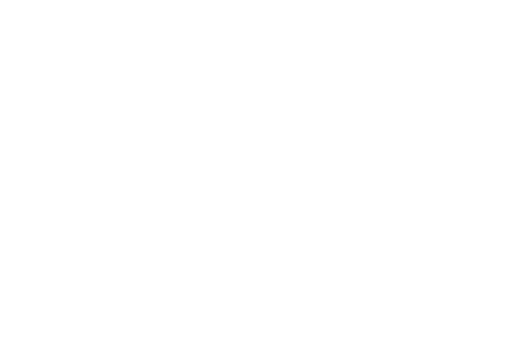 Anthropic